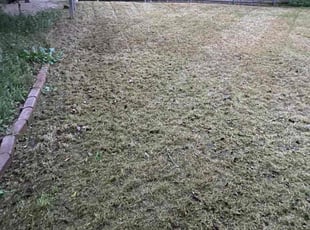 Cleanups by Jose Tovar for Damarys T. in Fort Worth, TX