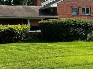 Bush Trimming by Carlos Portillo for Christopher W. in Springfield, VA