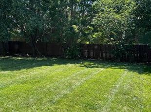 Shahzad M.'s Lawn Care service result