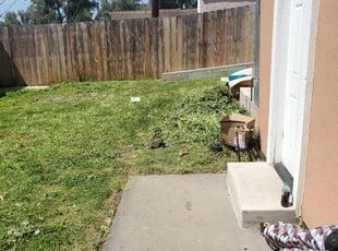 Cleanups by Loren Bunnell for Zoe G. in Spring Valley, CA