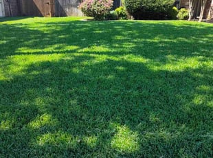 Julianne R.'s Lawn Mowing Service service result