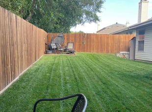 Stephen H.'s Lawn Care service result