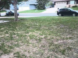 Cleanups by Christina Wallum for 2nd Chance Project -. in Vadnais Heights, MN