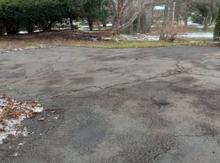 Leaf Removal by Andre Dennis for Michael P. in Bloomfield Township, MI