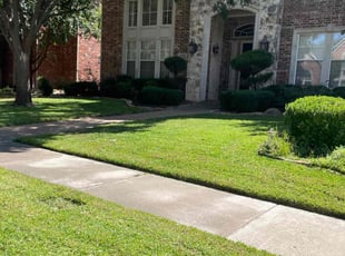 Olga S.'s Lawn Service service result