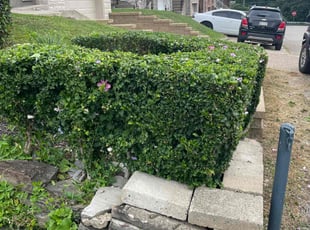 Bush Trimming by Jason Pickford for Abby B. in Pittsburgh, PA
