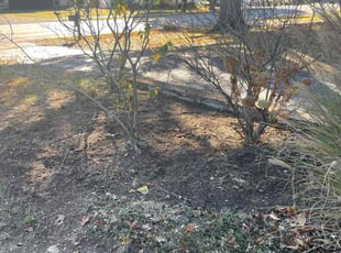 Weeding by Lora Thoren for Cassie W. in Franklin, TN