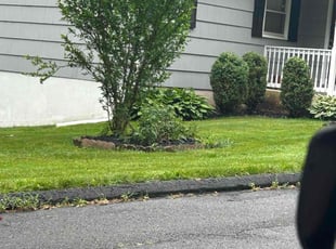 Jill H.'s Lawn Mowing Service service result