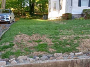 Leaf Removal by Monica Litho for Robert S. in Boston, MA