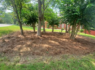 Mulching by Joshua Sample for Frankie P. in Lawrenceville, GA