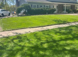 George H.'s Lawn Mowing service result