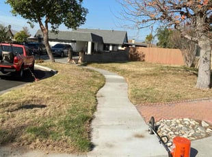 Leaf Removal by Eduardo Soto for Steven H. in Riverside, CA