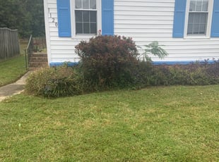 Bush Trimming by Danielle Patterson for Maiya M. in Virginia Beach, VA