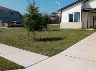 claire e.'s Lawn Service service result