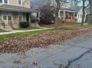 Leaf Removal by John Panich for Julia S. in Ferndale, MI