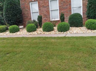 Weeding by Steven Lollis for Kimberly C. in Fayetteville, GA