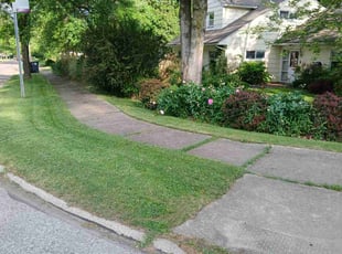 Tinetrea C.'s Lawn Mowing service result