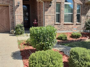 Bush Trimming by Gralin Johnson for Gregg P. in Euless, TX