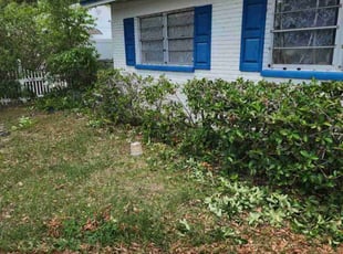Bush Trimming by Jennifer Butler for Laura J. in Brandon, FL