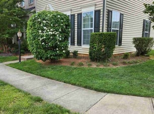 Bush Trimming by Mark Burke for Larry B. in Bristow, VA