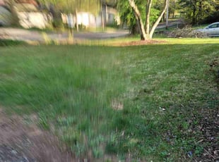 Cleanups by Greg Roberts for Melissa K. in Pottstown, PA