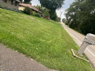Neka G.'s Lawn Service service result