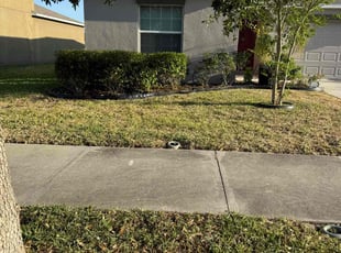 Bush Trimming by William Chavers for Bobby H. in Ruskin, FL
