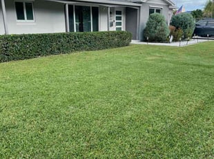 ELIZABETH F.'s Bush Trimming service result