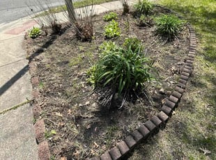 Leaf Removal by Marcus Hessey for Jaime Denise M. in South Bend, IN