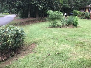Bush Trimming by Jeanne Laguerre for Brian G. in Marietta, GA