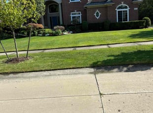 Patricia A.'s Grass Cutting service result