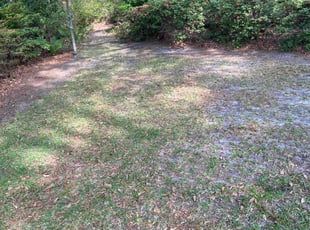 Cleanups by Richard Carpenter for Madeline C. in Aiken, SC