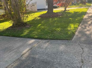Nikki M.'s Lawn Care service result