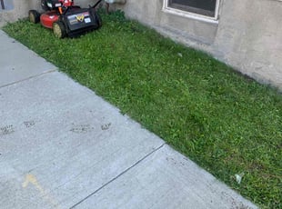 Octavia P.'s Lawn Mowing service result