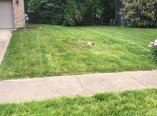 Cleanups by Kareem Bonner for Kenneth E. in Batavia, OH
