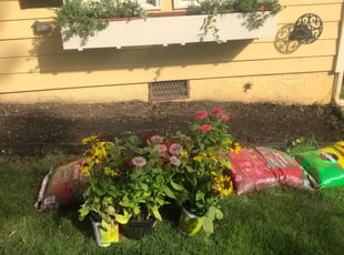 Weeding by Brandon Cox for Claribet E. in Lawrenceville, GA