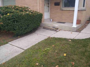 Leaf Removal by Joe Schmidt for Lynn P. in Milwaukee, WI
