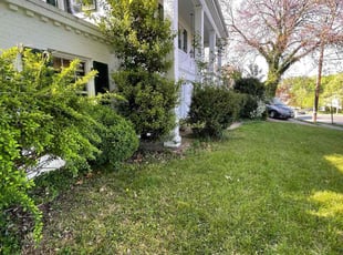 Bush Trimming by Fidel Rodriguez for Robert L. in Arlington, VA