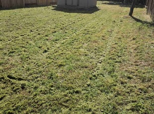 Cleanups by Juan Rodriguez for Rebecca M. in Sacramento, CA