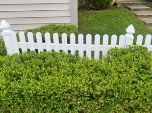Bush Trimming by Thomas Fador for V A. in Odenton, MD