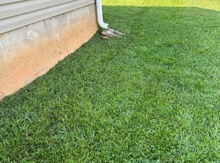 Mark V.'s Grass Cutting service result