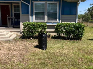 Bush Trimming by Gregory White for Justyna M. in Eustis, FL