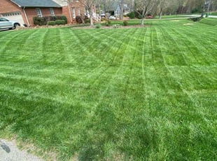 Ashley S.'s Lawn Mowing Service service result