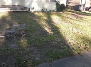 Leaf Removal by Adam Frey for Keith W. in Wichita, KS