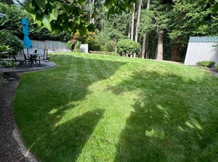 Jennifer T.'s Lawn Mowing service result