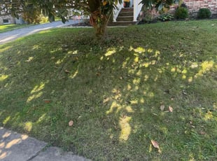 Kyle M.'s Lawn Care service result