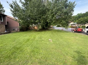 Jessica B.'s Lawn Care service result