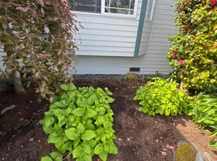 Weeding by Kurian Jones-Fryberg for Andrea P. in Lake Stevens, WA