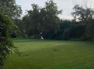 Syed H.'s Lawn Mowing Service service result
