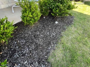 Weeding by Quentin Morgan for Ann M. in Celina, TX